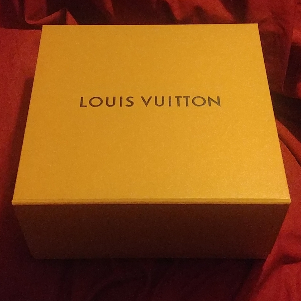 Louis Vuitton Box with trunk clutch Bag. NO PURSE